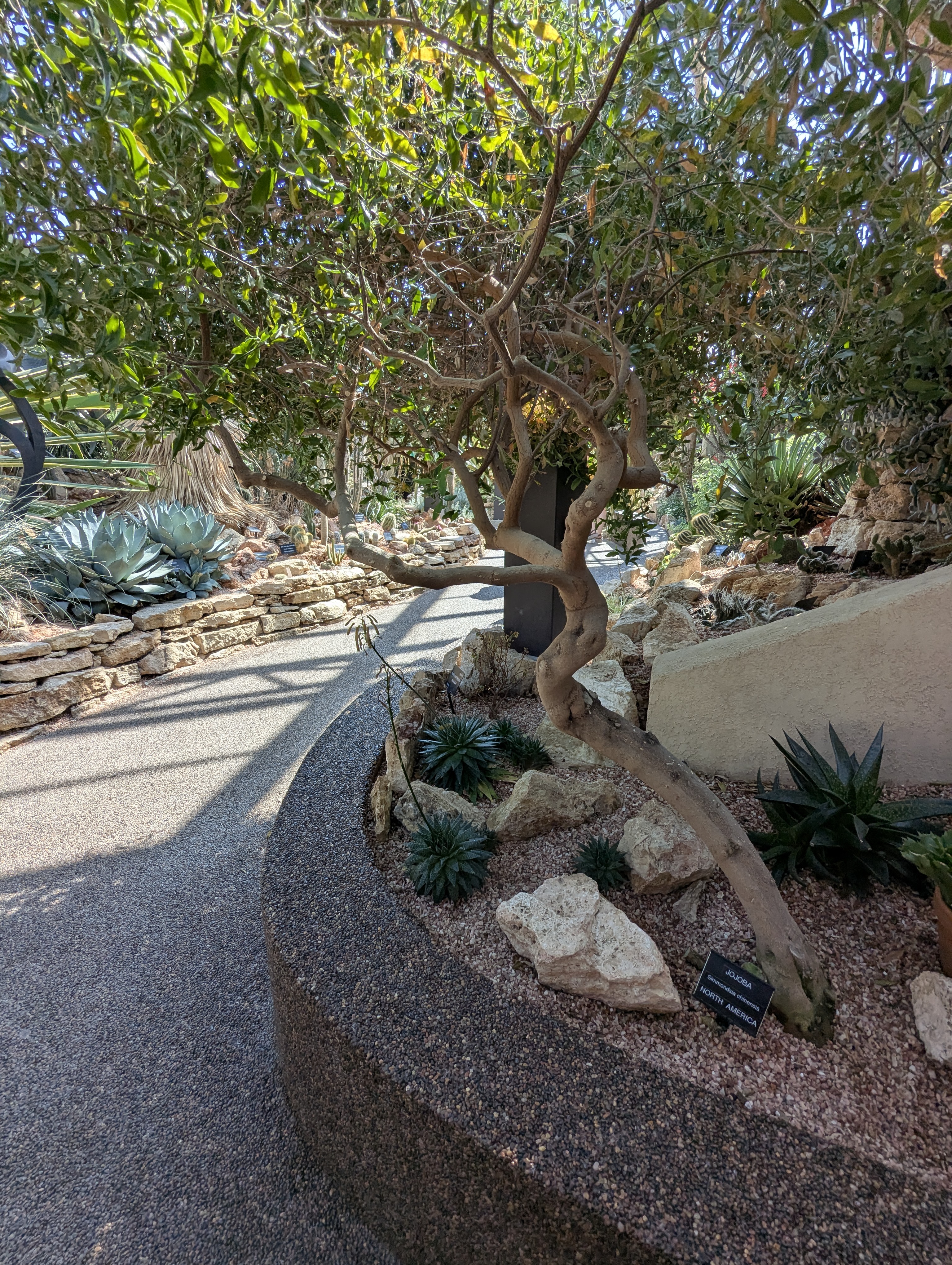 Birthday Trip to Canada, Edmonton, Pyramids, Muttart Observatory